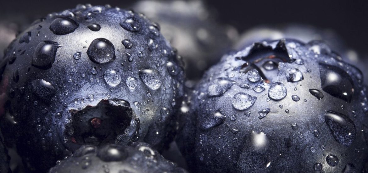 Macro shot of ripe blueberries