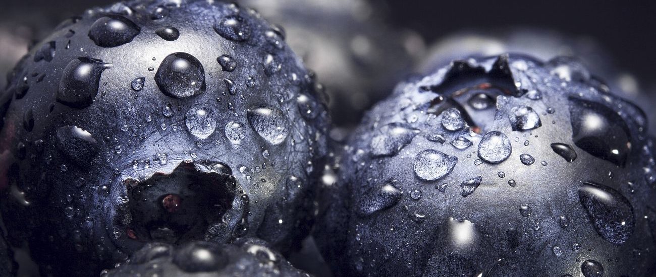 Macro shot of ripe blueberries