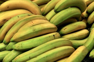 close up photo of yellow and green bananas