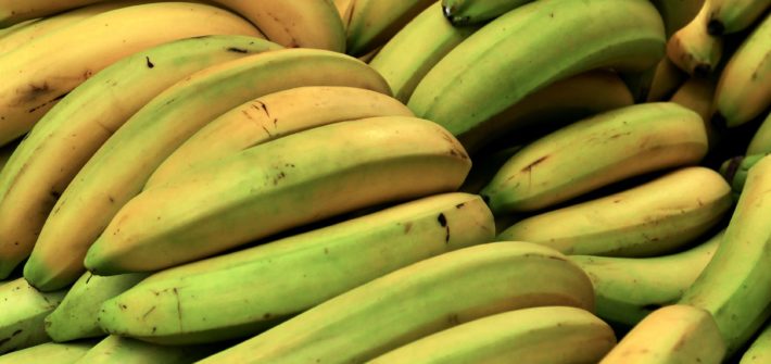 close up photo of yellow and green bananas